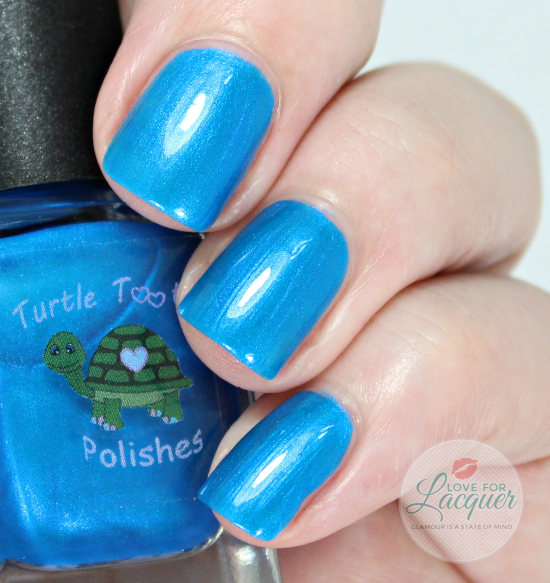 Turtle Tootsie EMT