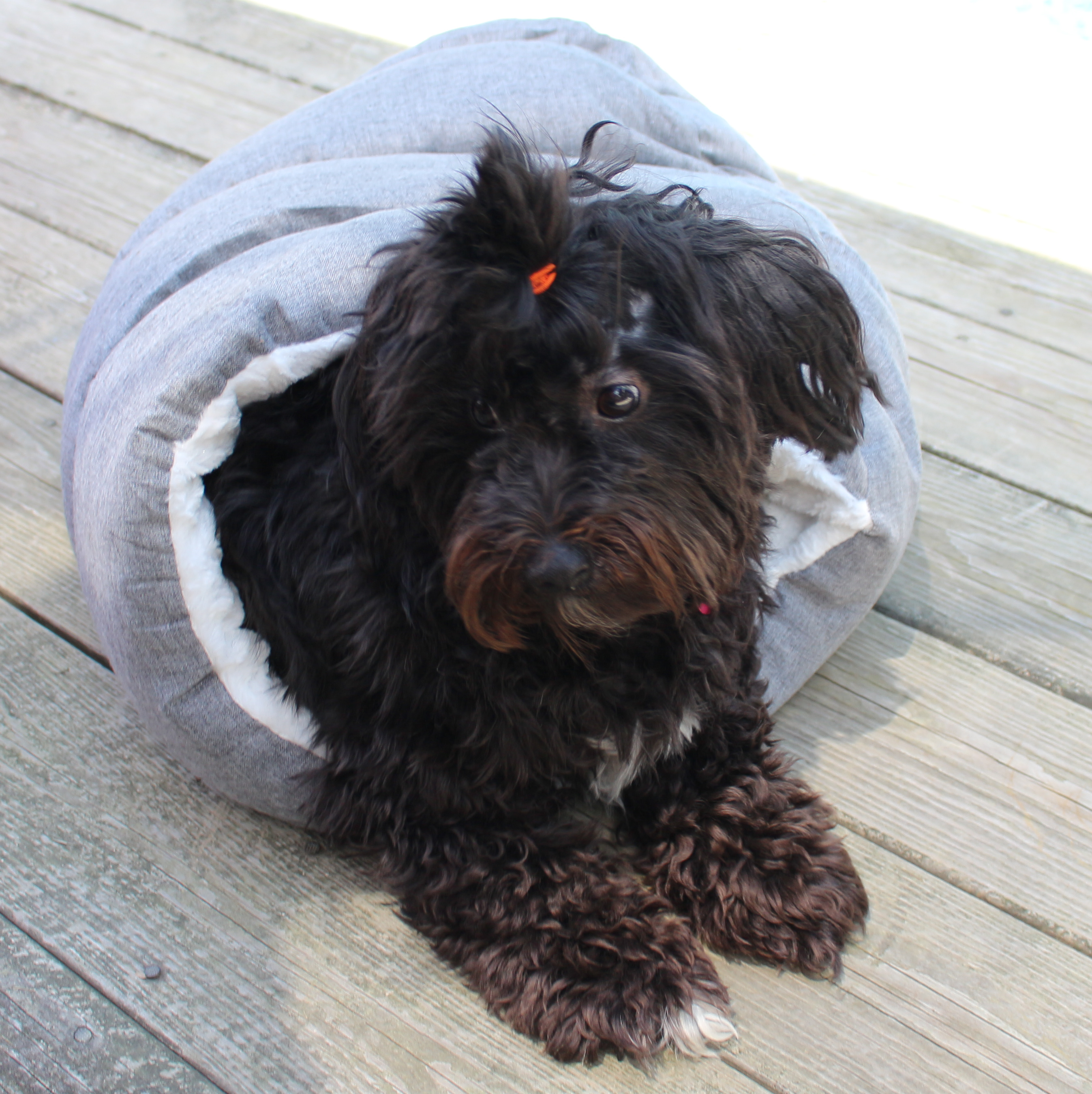 Petshoppe deals cave bed