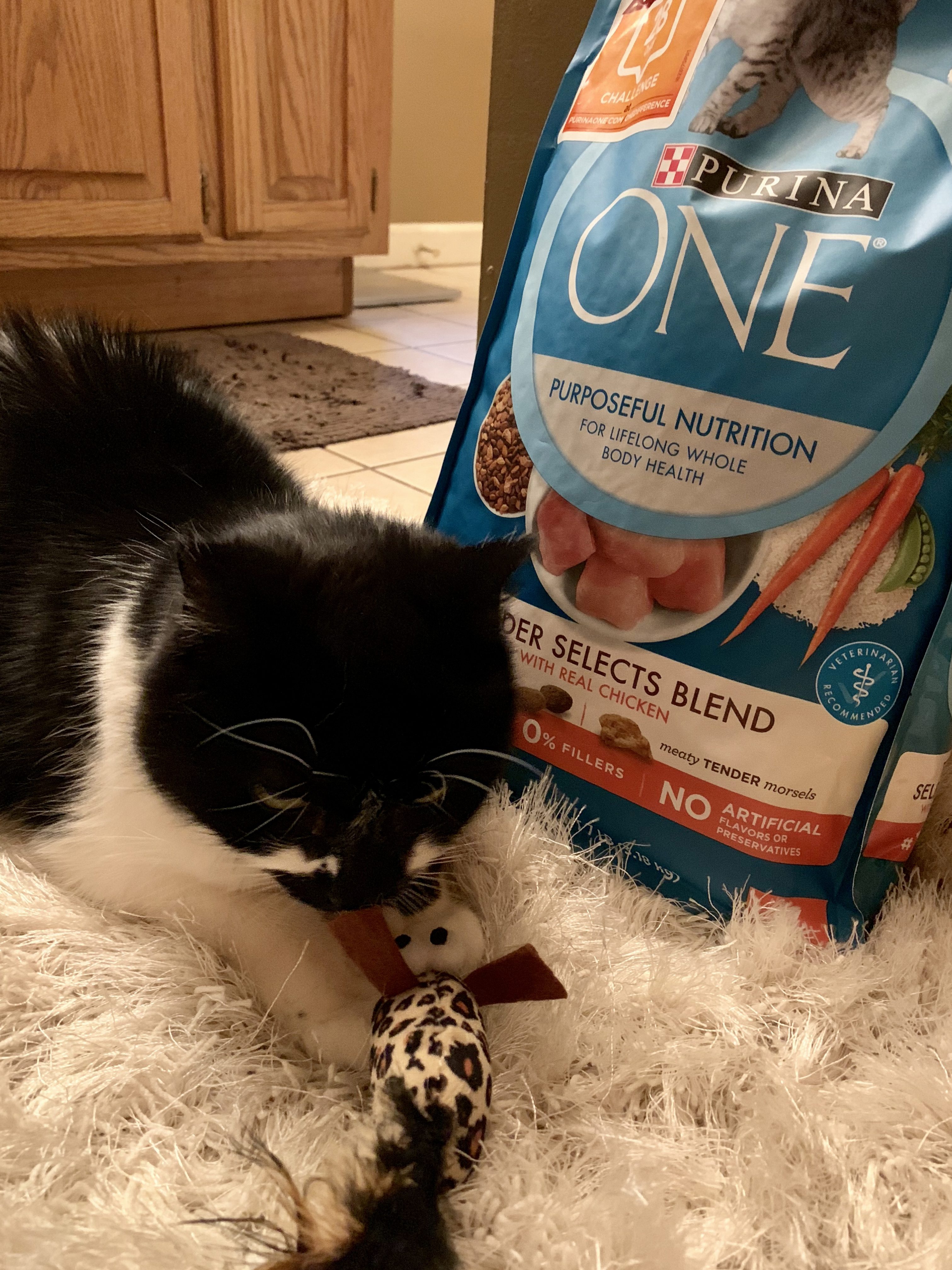 Purina One 28 Day Challenge Results Love for Lacquer